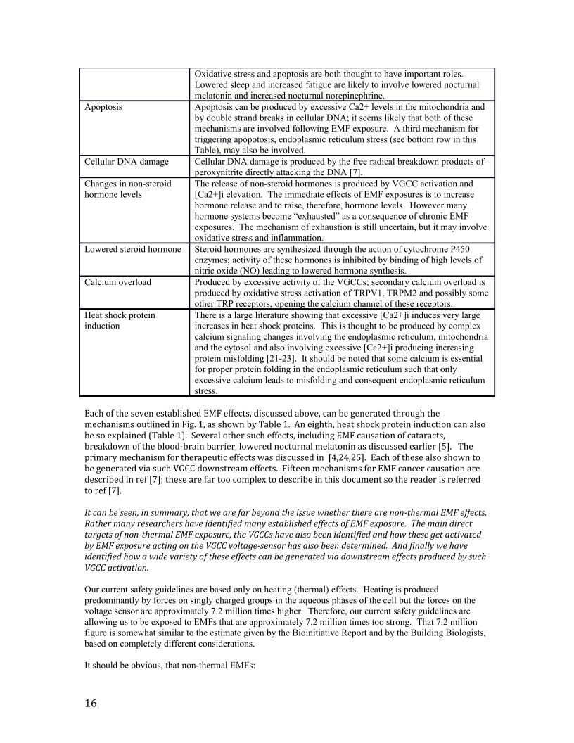 5G report pages