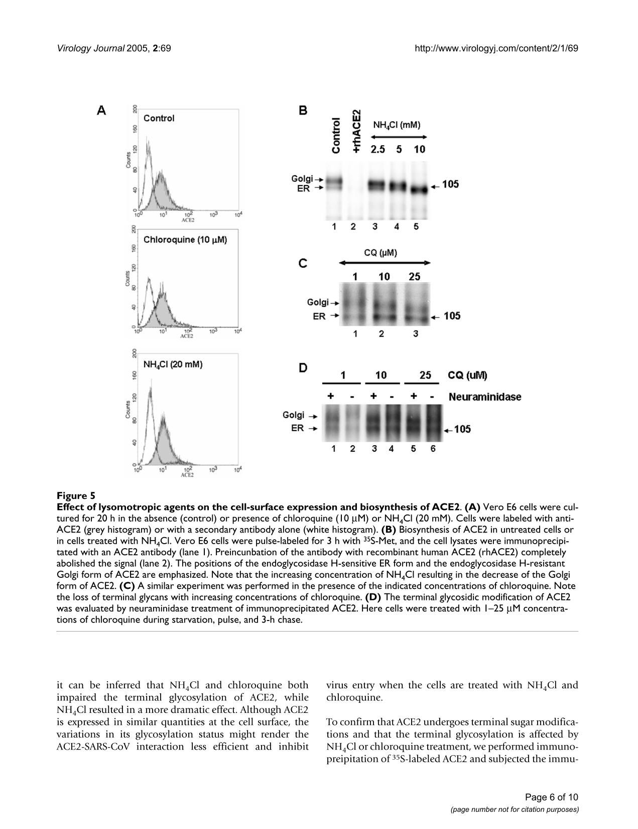 Chloroquine study pages