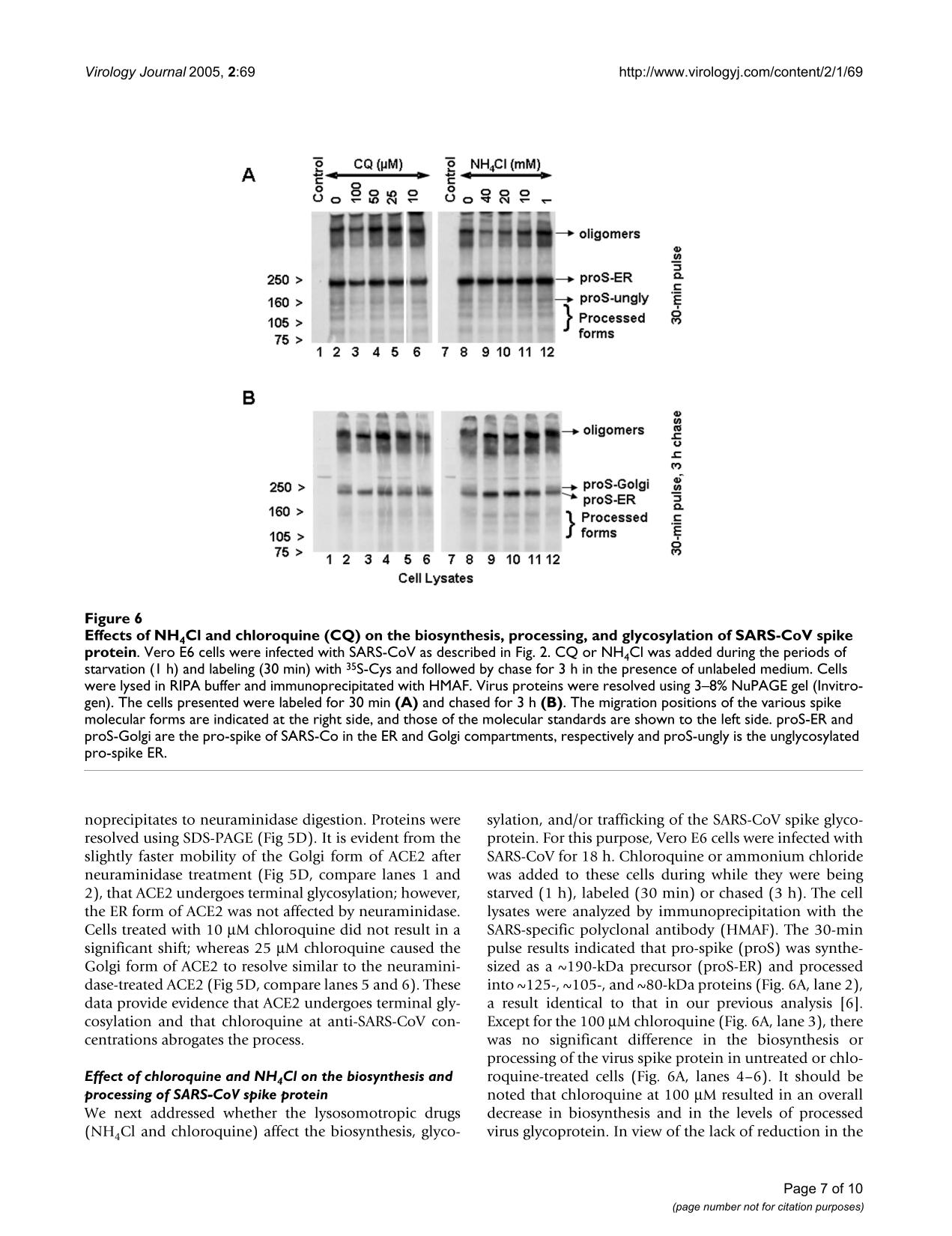 Chloroquine study pages